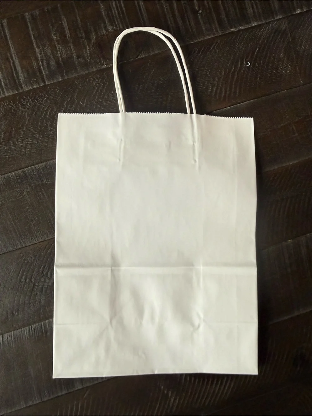 50 Plain White Paper Gift Bags with Twisted Handles